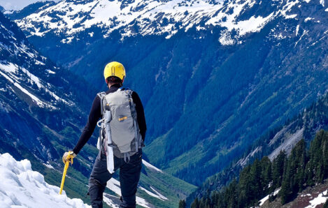 Private Wealth Management Client Services for High Net Worth + Ultra High Net Worth - Northern Pacific Asset Management